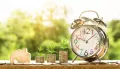 Should you take a Business line of credit?