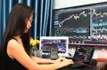 An Explanation of the Stock Market