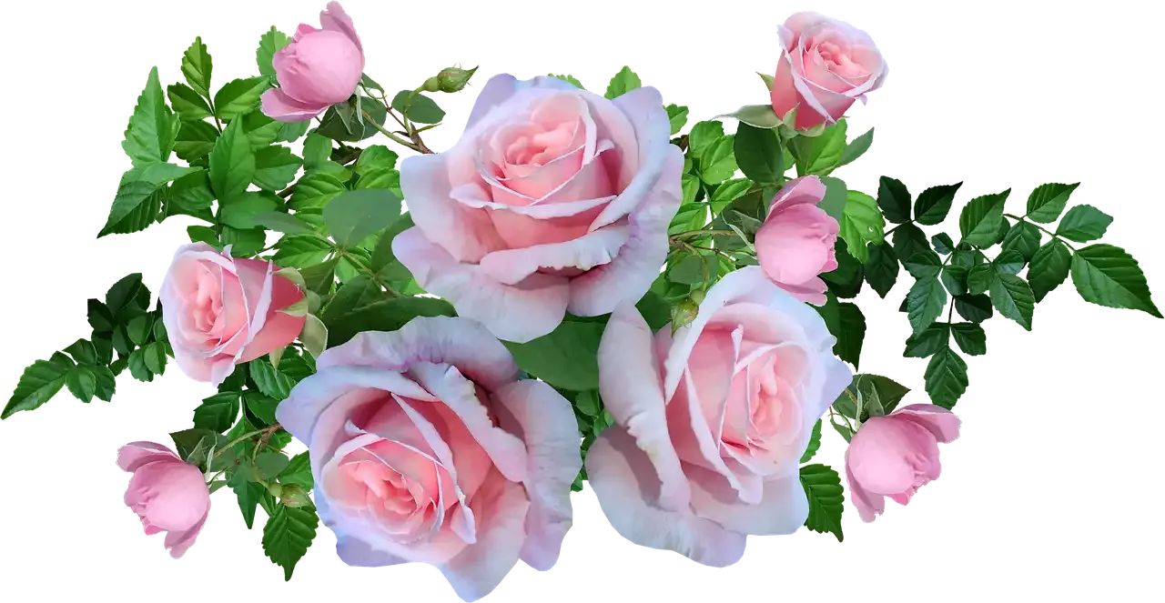 Best Masks for Dry Damaged Hair