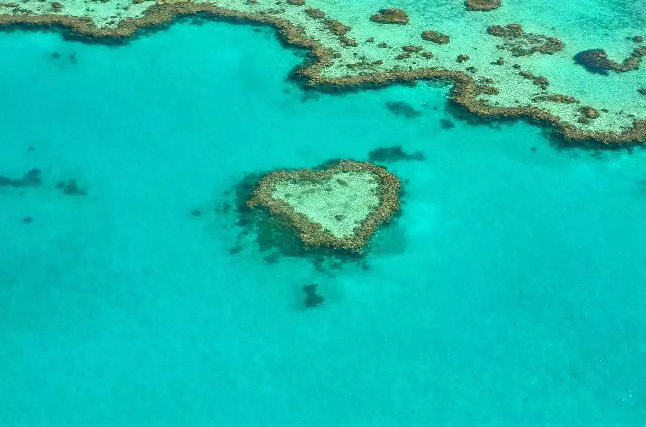 The Biggest Natural Wonder in the World - The Great Barrier Reef