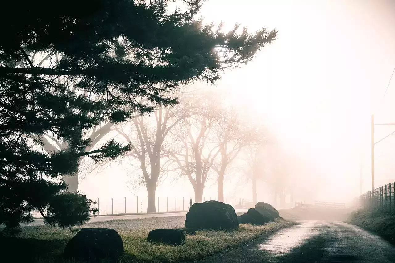 Hiking the Best Trails in Japan
