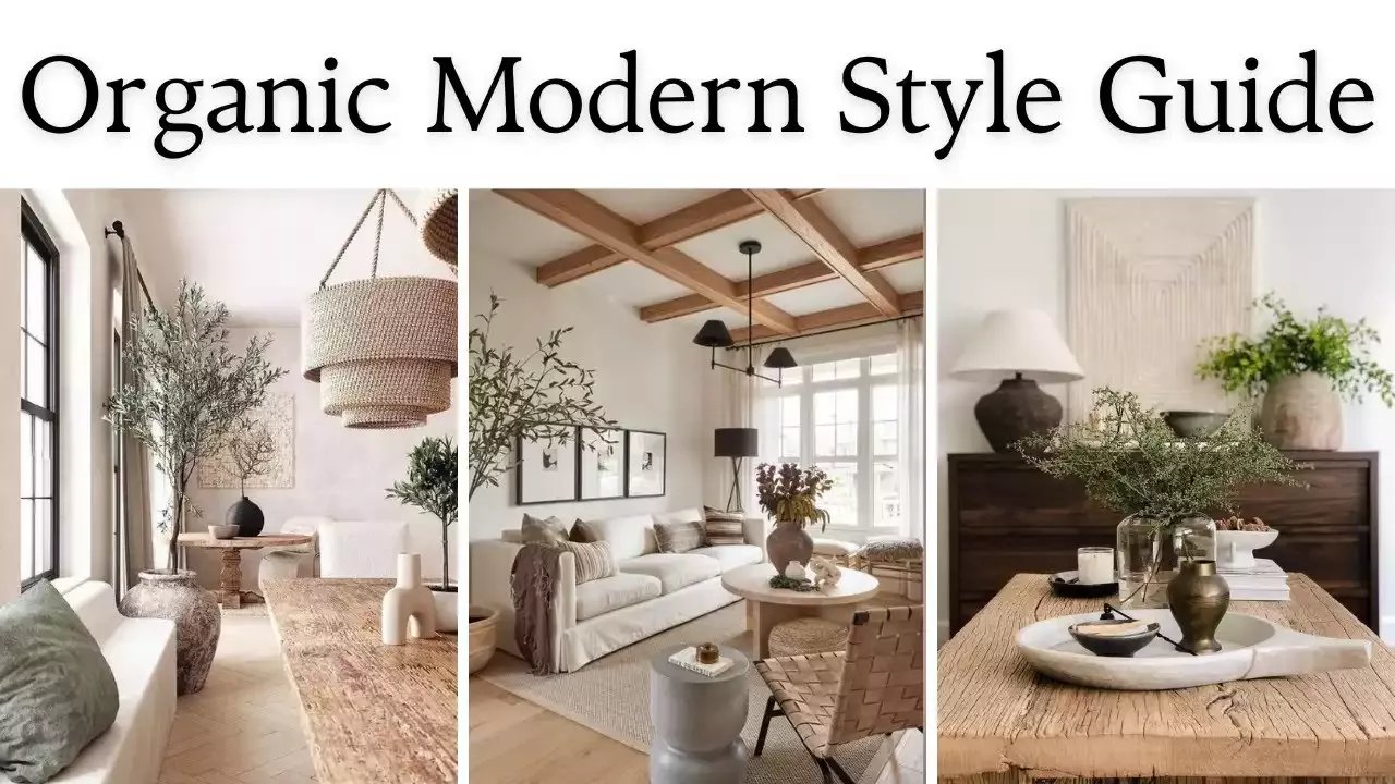 Embracing the Beauty of Organic Modern Interior Design
