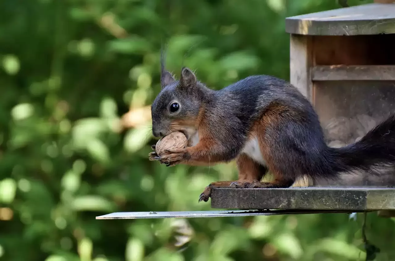 Cardiovascular Exercise on Bikes is the Best