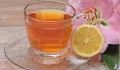 The Relation of Inflammation to the Immune System