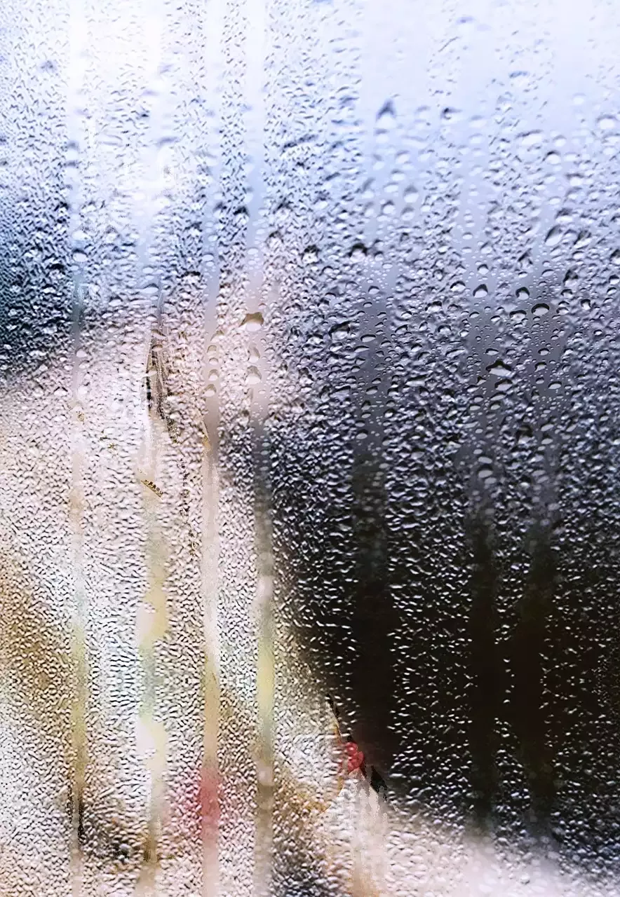 For Creative Effects try Infrared Photography