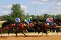 Sporting Spectaculars over the last 100 Years