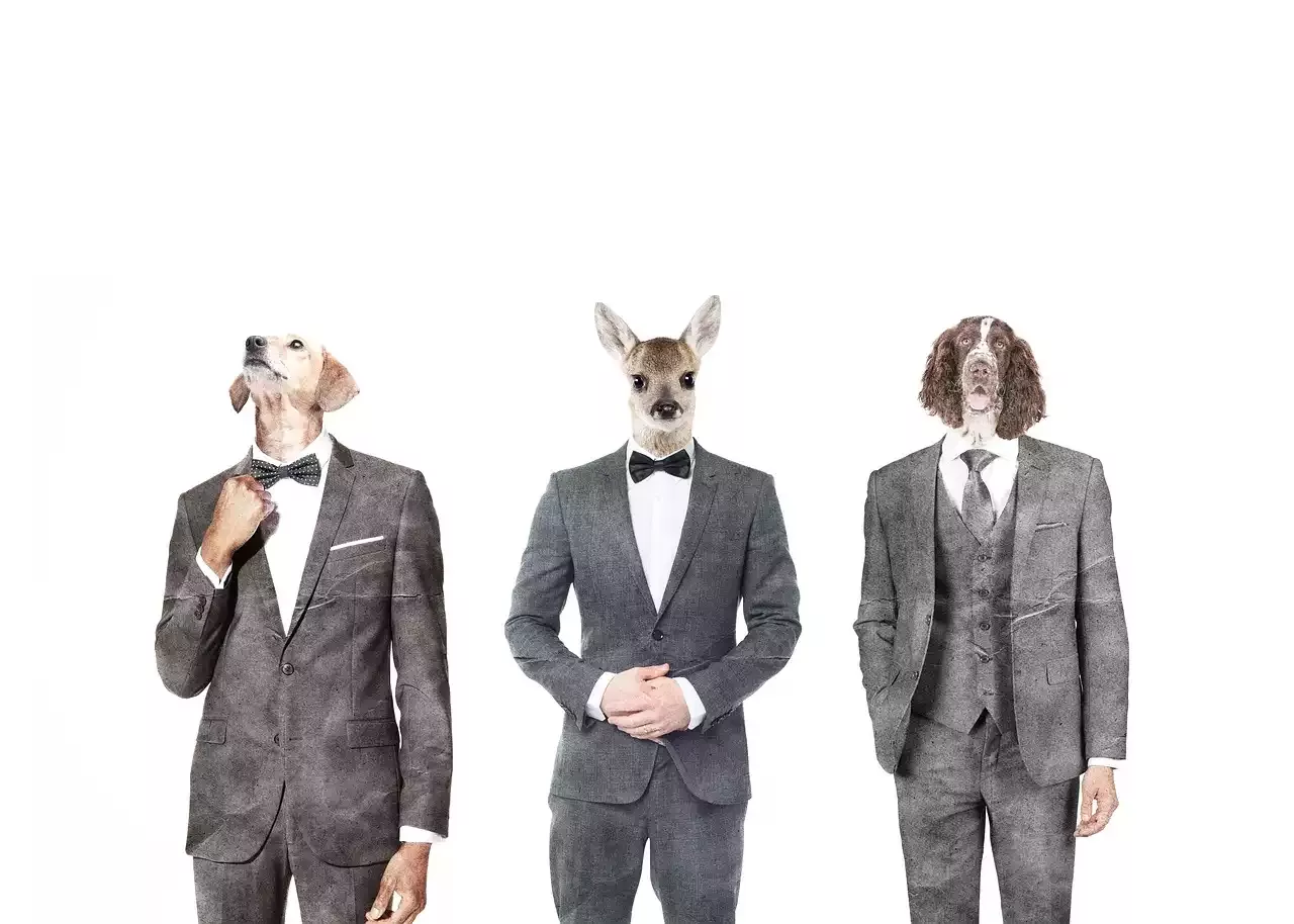 The Most Influential Fashion Designers of the 1970s