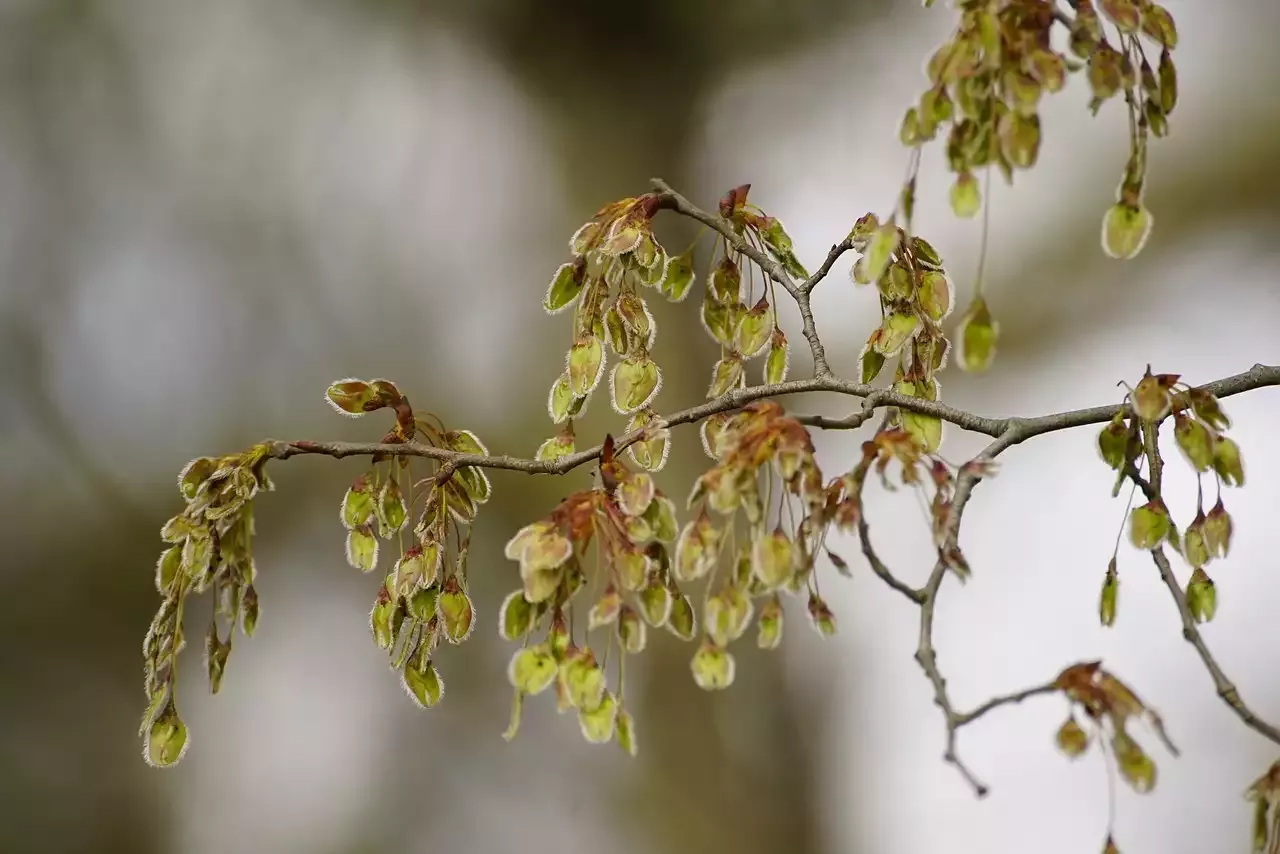 The Most Famous Jeans Brands and Designers