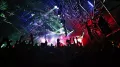 Tomorrowland המדריך האולטימטיבי לפסטיבל המוזיקה המוביל בעולם