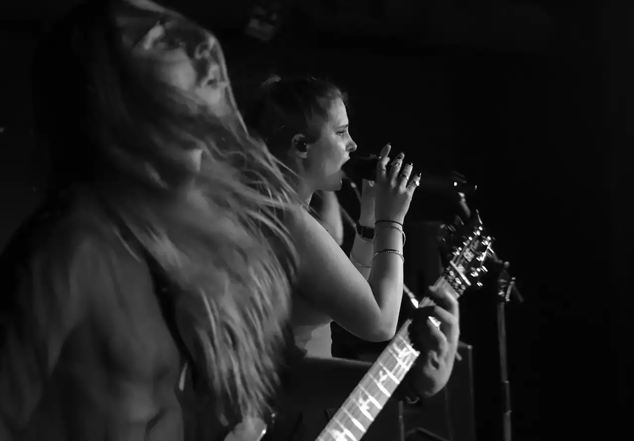 הולדת הפאנק רוק בסוף שנות ה-70