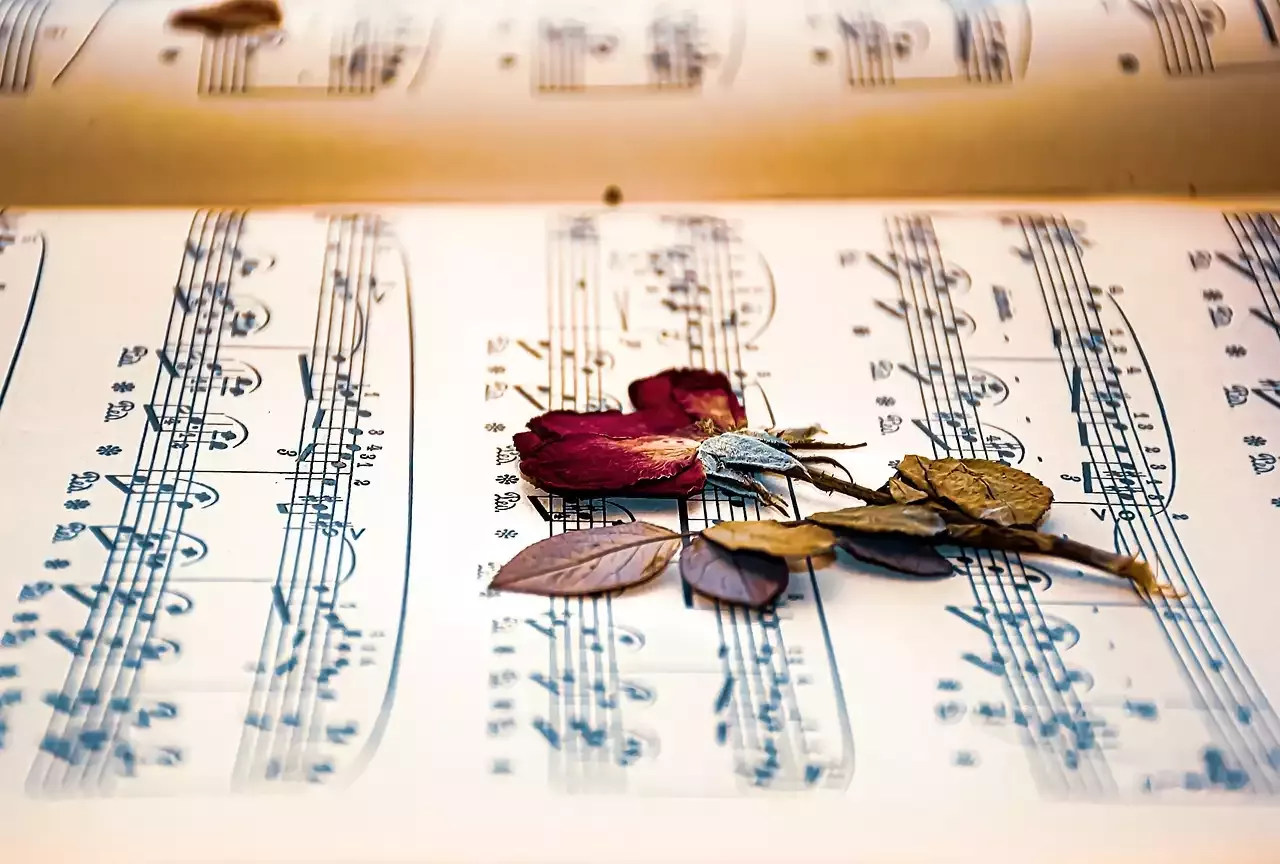 סגנונות שונים של מוזיקה עכשווית בשנות ה-90‍