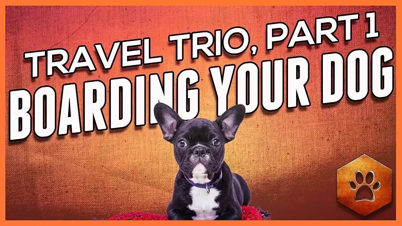 סוגים שונים של מתקני פנסיון לחיות מחמד