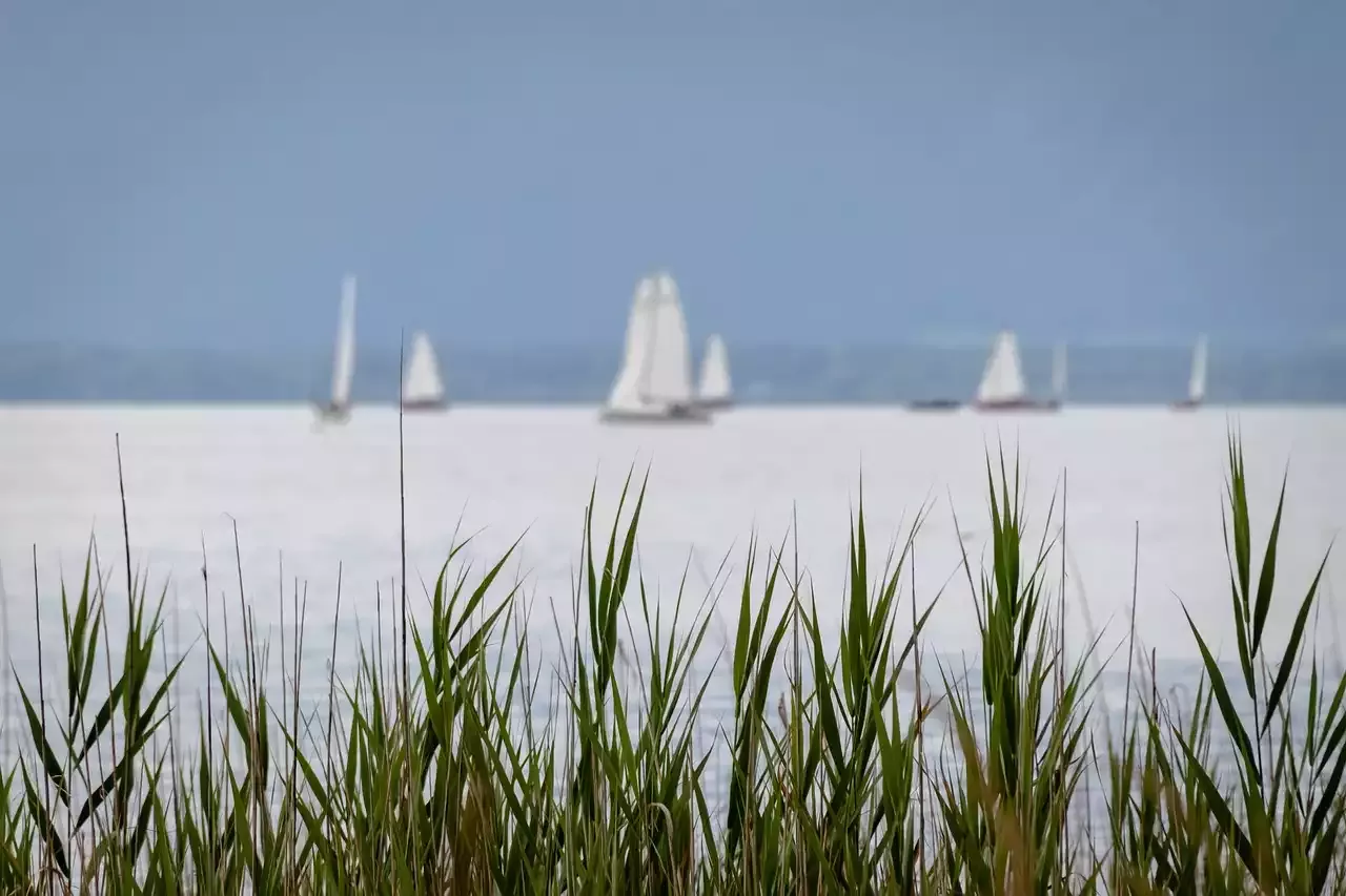 Sustainability and Eco-Friendly Practices in Sailing