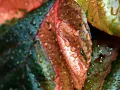 A Brief History of Agrophysics