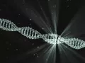 Rosalind Franklin and Her Contribution to DNA Research