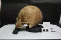 The Study of Anthropology in Science