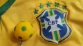 Brazil - Sweden World Cup Final 1958