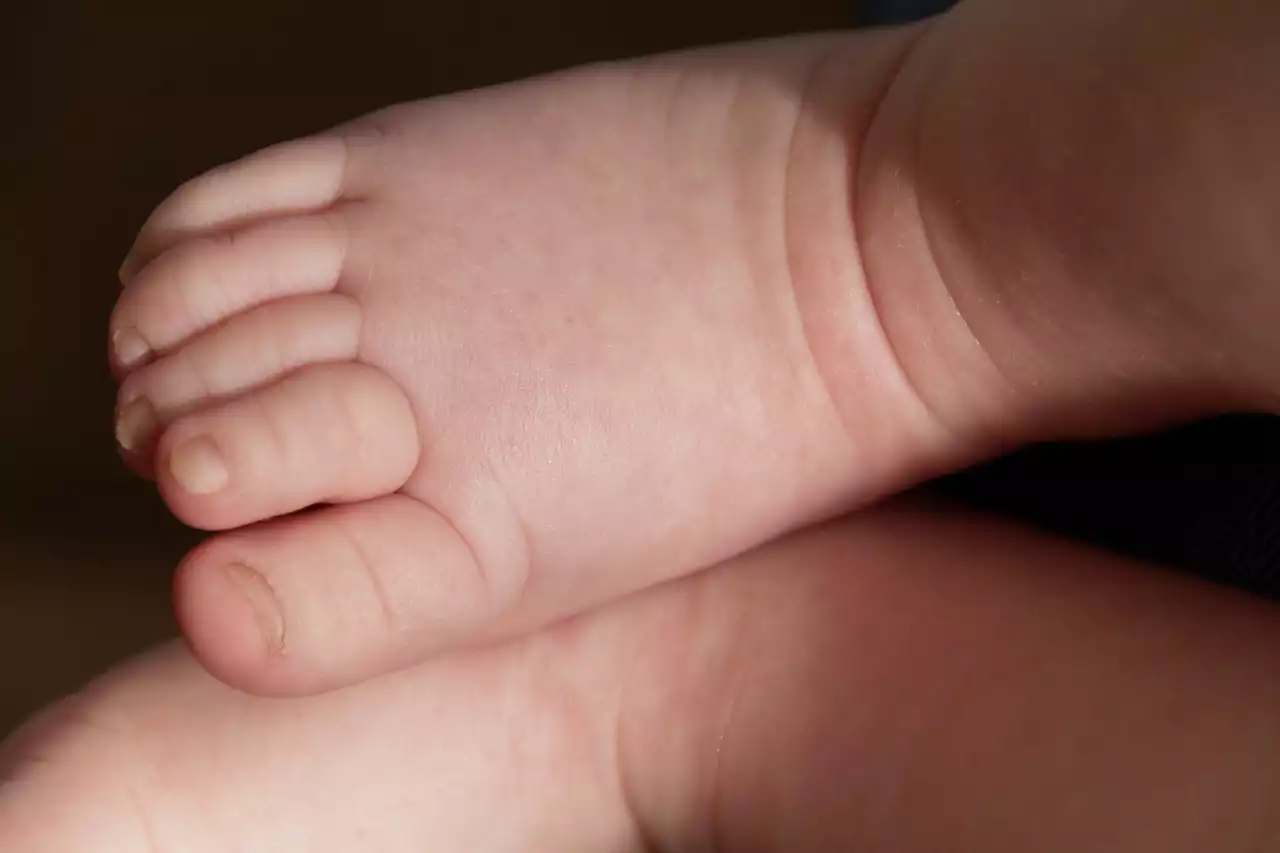 מה שאתה צריך לדעת על מוזס סלים