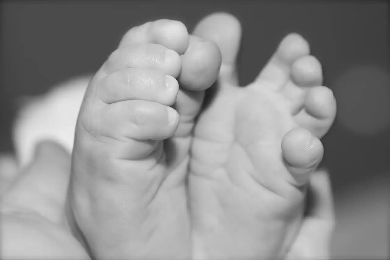 So wählen Sie das beste umwandelbare Kinderbett aus
