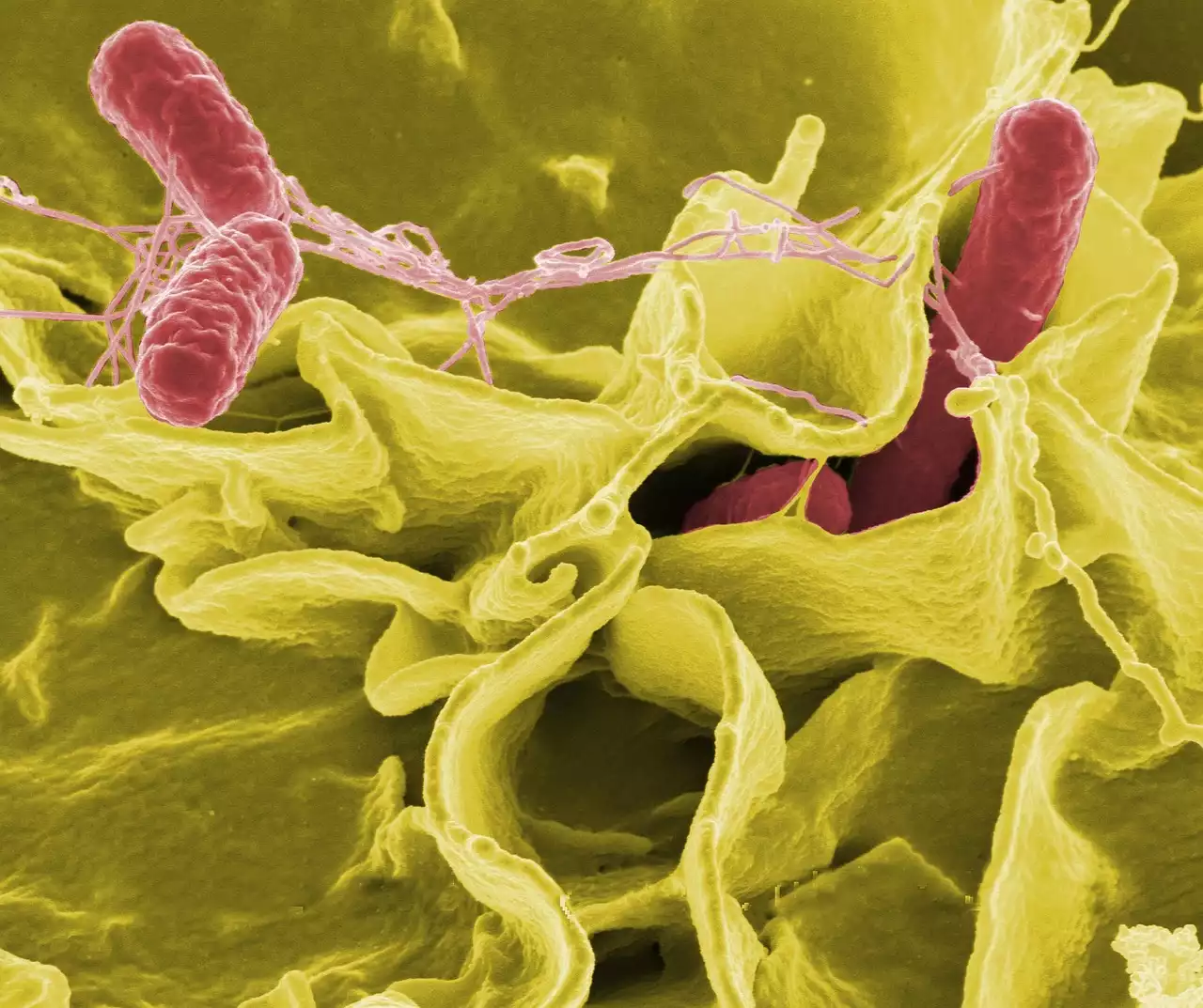 The Science Behind mRNA Vaccines: A Closer Look