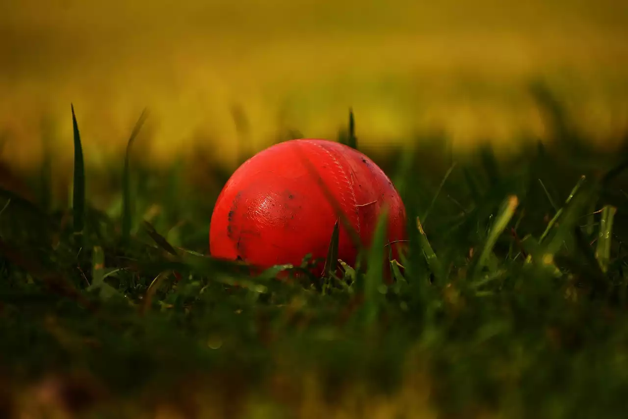 Village Cricket History and Format