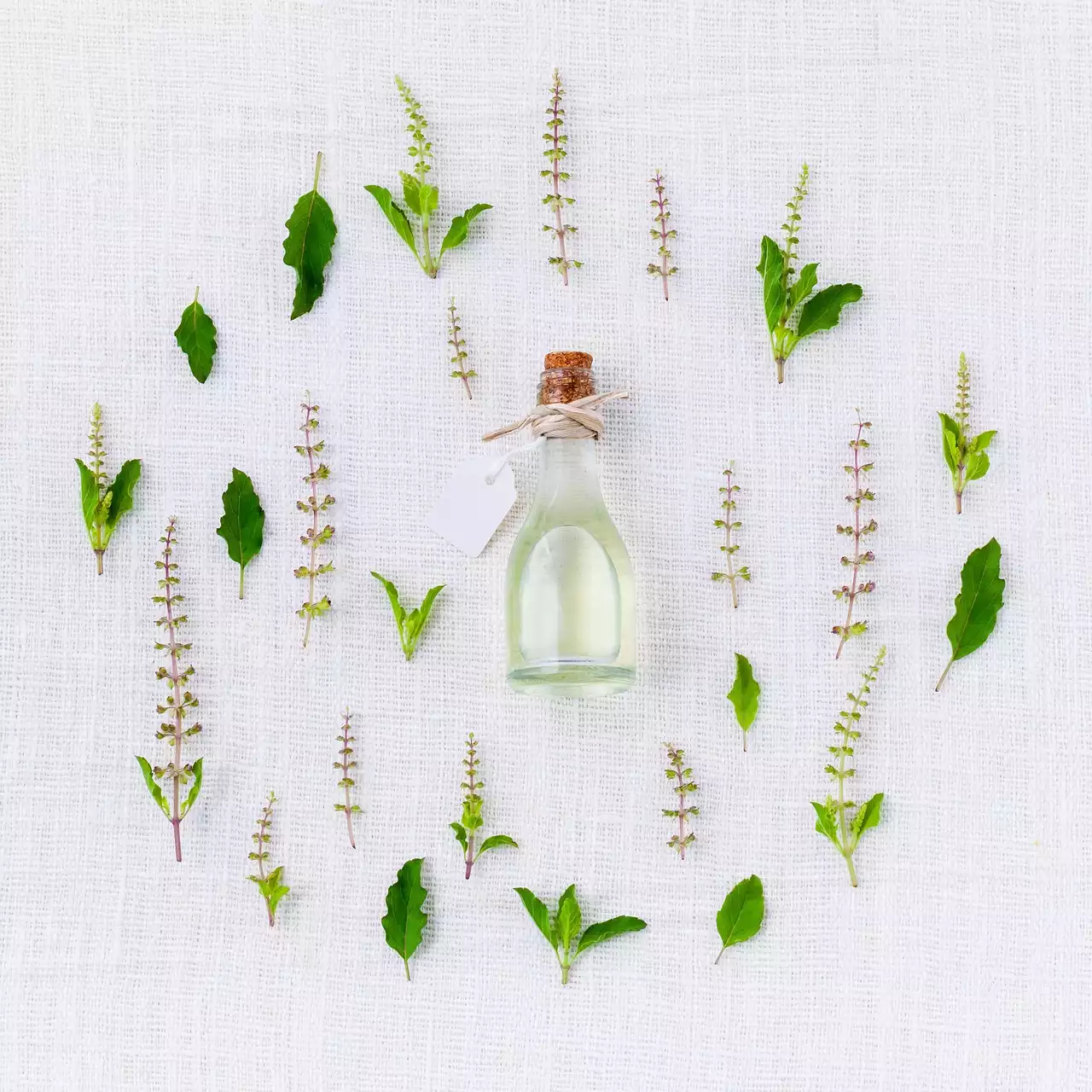 5 Traditional Medicines Used for Erectile Dysfunction Around the World