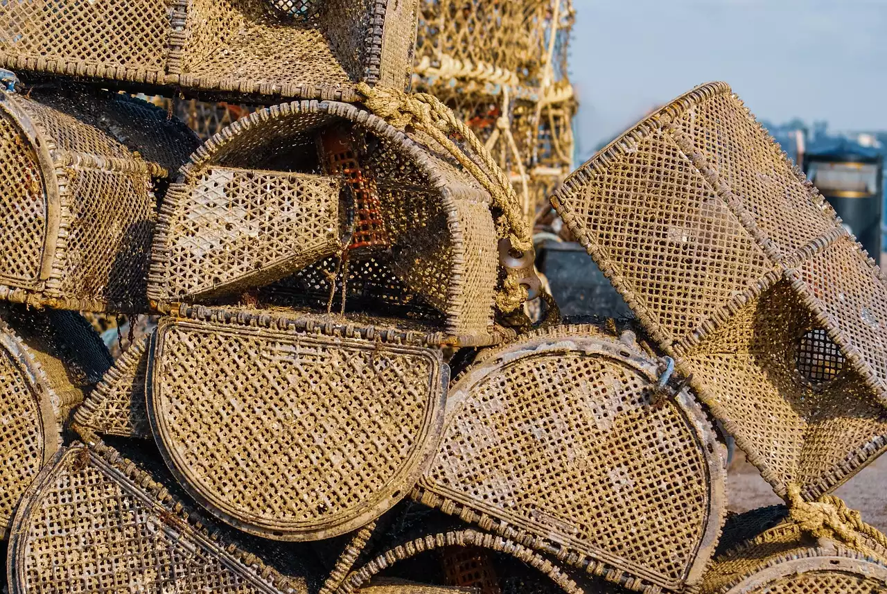 Escolha a pesca como hobby