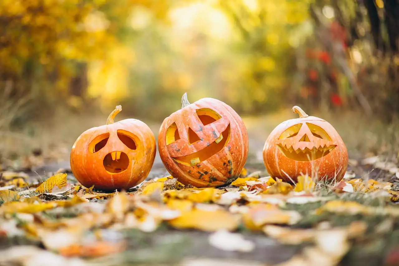 Spook-tacular Halloween Gifts that will Delight Your Kids!