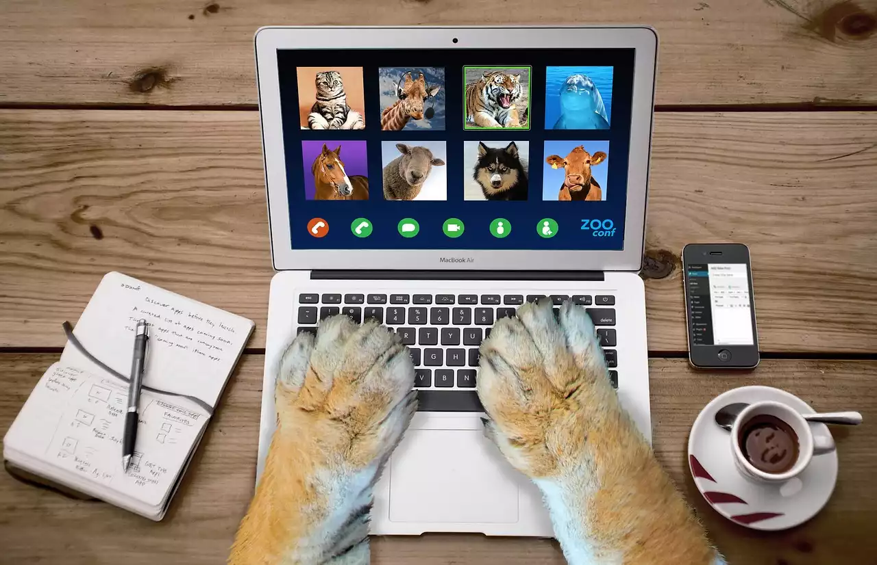Mastering the Art of Video Conferencing: A Complete Guide