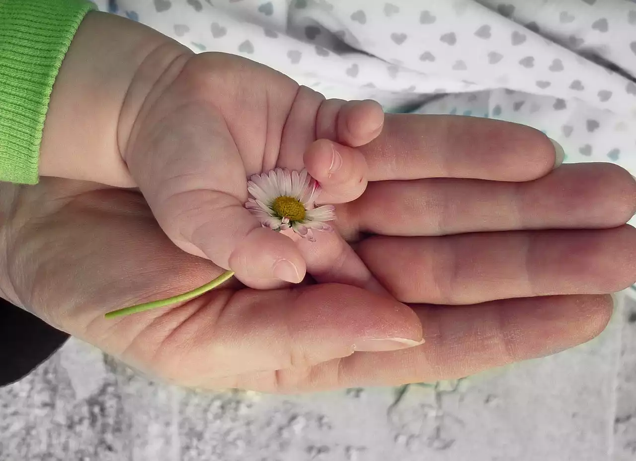 Discover the Power of Parenting: Explore the Four Essential Styles Every Parent Must Embrace
