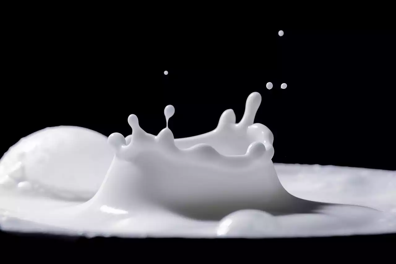Die Vorteile des Verzehrs von mehr fettarmer Milch und Milch